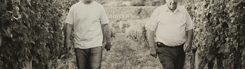 growers walking between vineyard rows