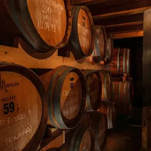 chalk-marked oak barrels in cellar