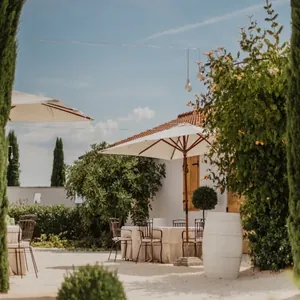 estate terrace with parasol seating