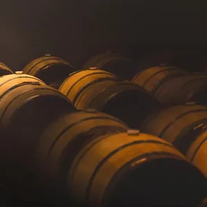 oak barrels in dark cellar