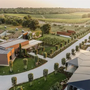 aerial estate buildings among vineyards