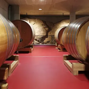 large oak casks in cellar