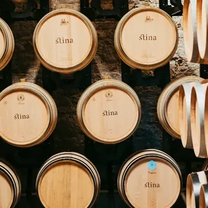 Stacked oak barrels in cellar